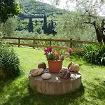 Olive Press *