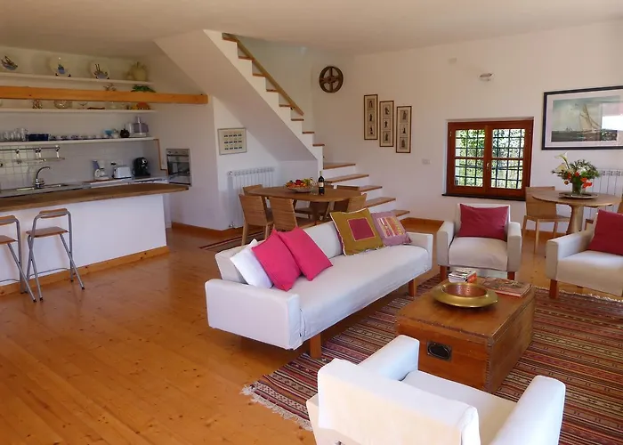 Dom wakacyjny Olive Press *