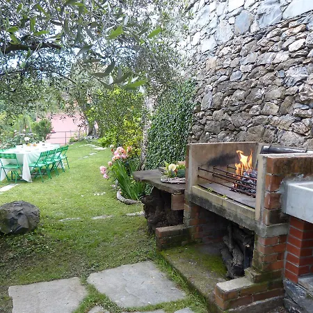 Dom wakacyjny Olive Press