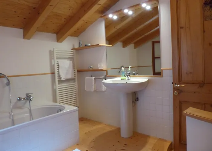 Olive Press 키아바리